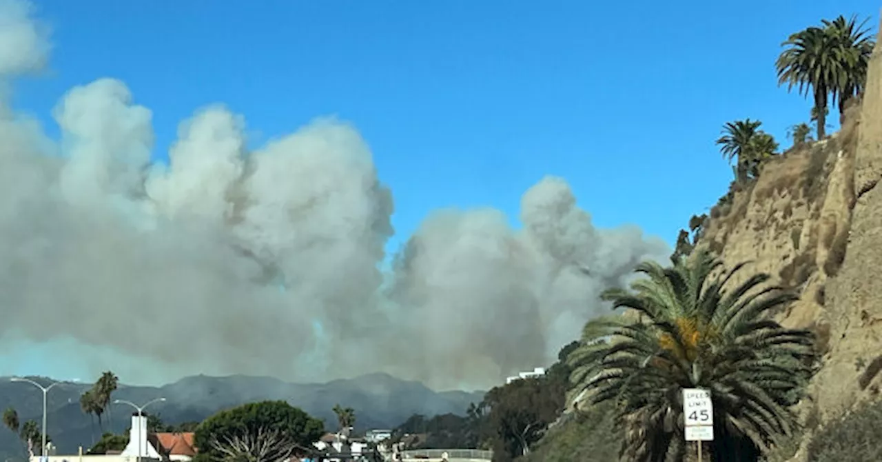 Brush Fire Spreads Rapidly in Eaton Canyon Near Altadena