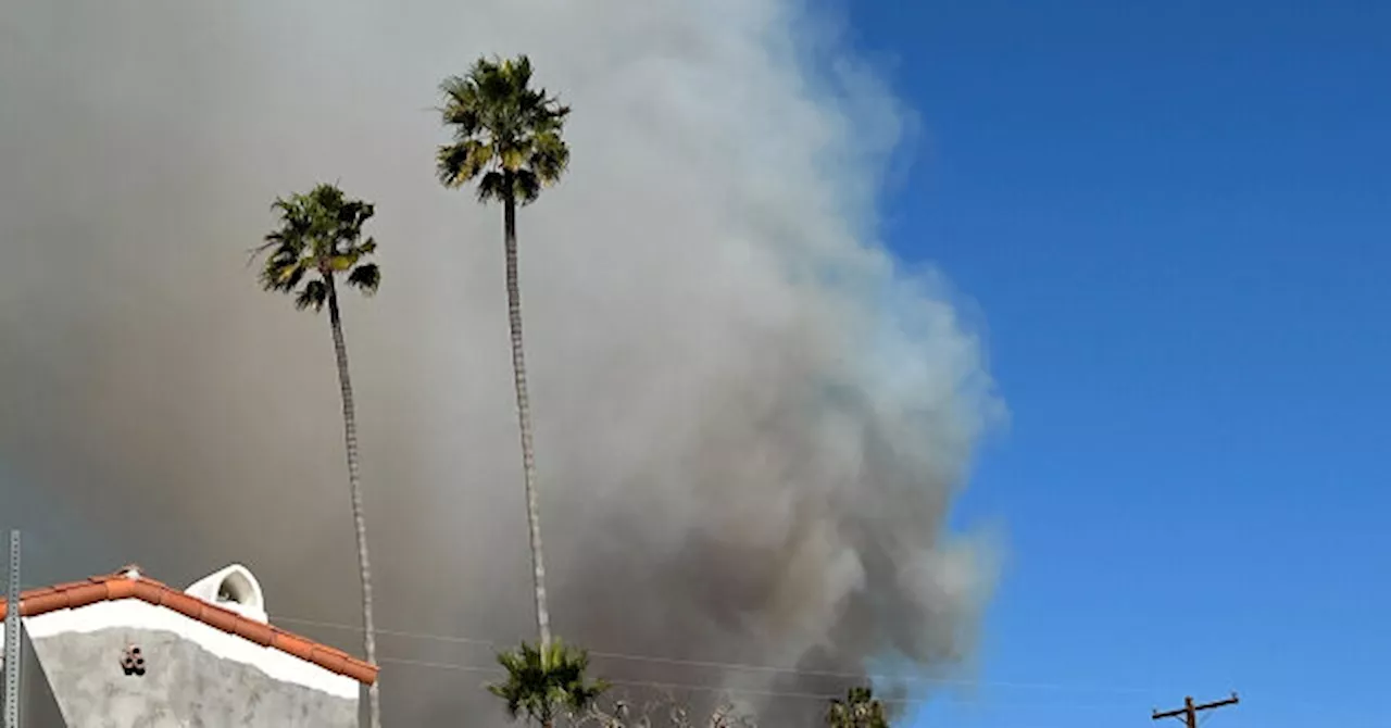 Brush Fires Erupt in Los Angeles Amid 'Life-Threatening' Winds