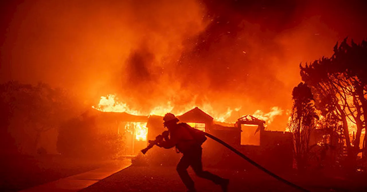 LAFD: 25-Year-Old Female Firefighter Sustains ‘Serious’ Head Injury Battling Palisades Fire