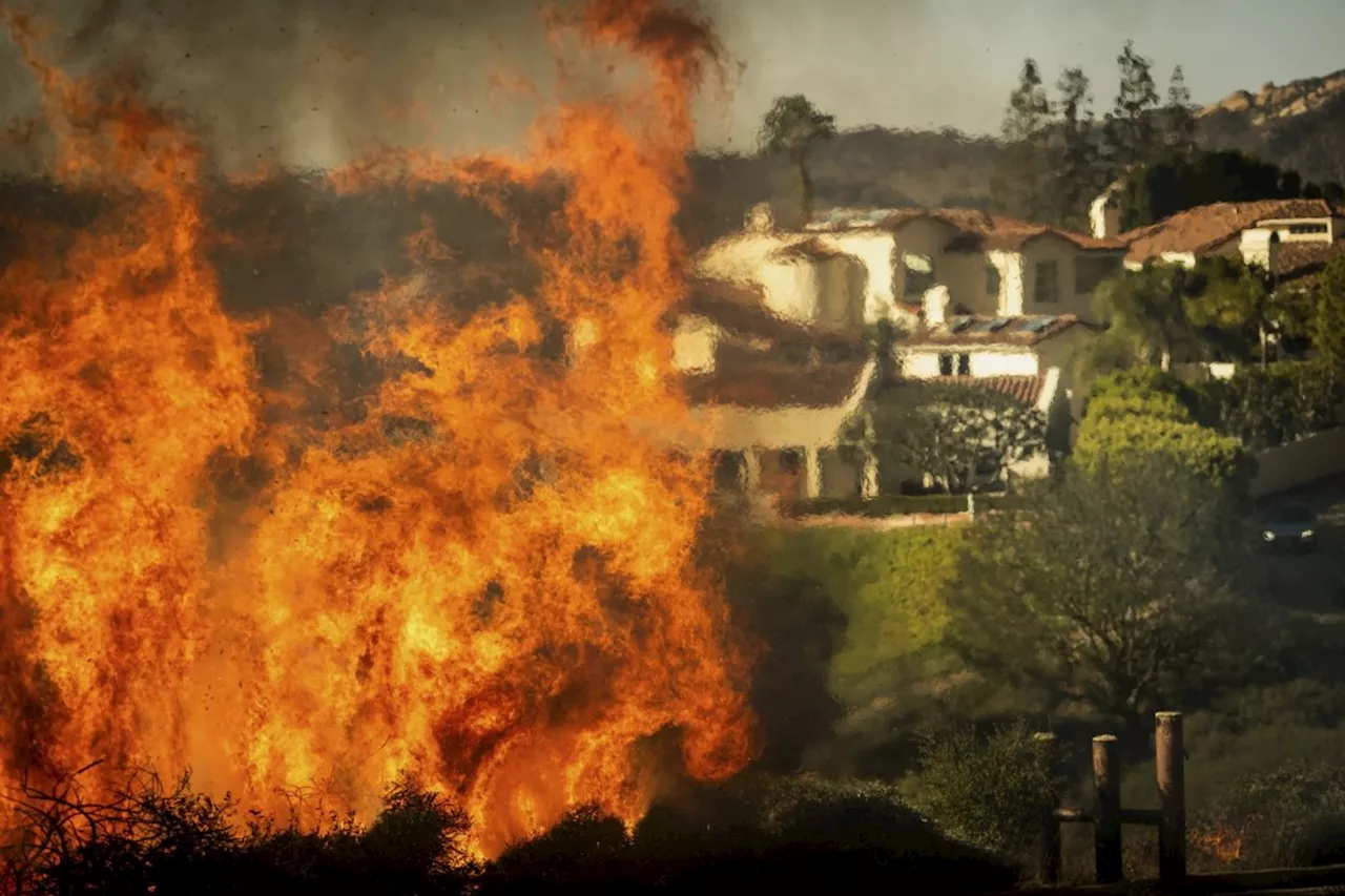 30,000 people under evacuation orders as wildfire whips through Los Angeles hillsides