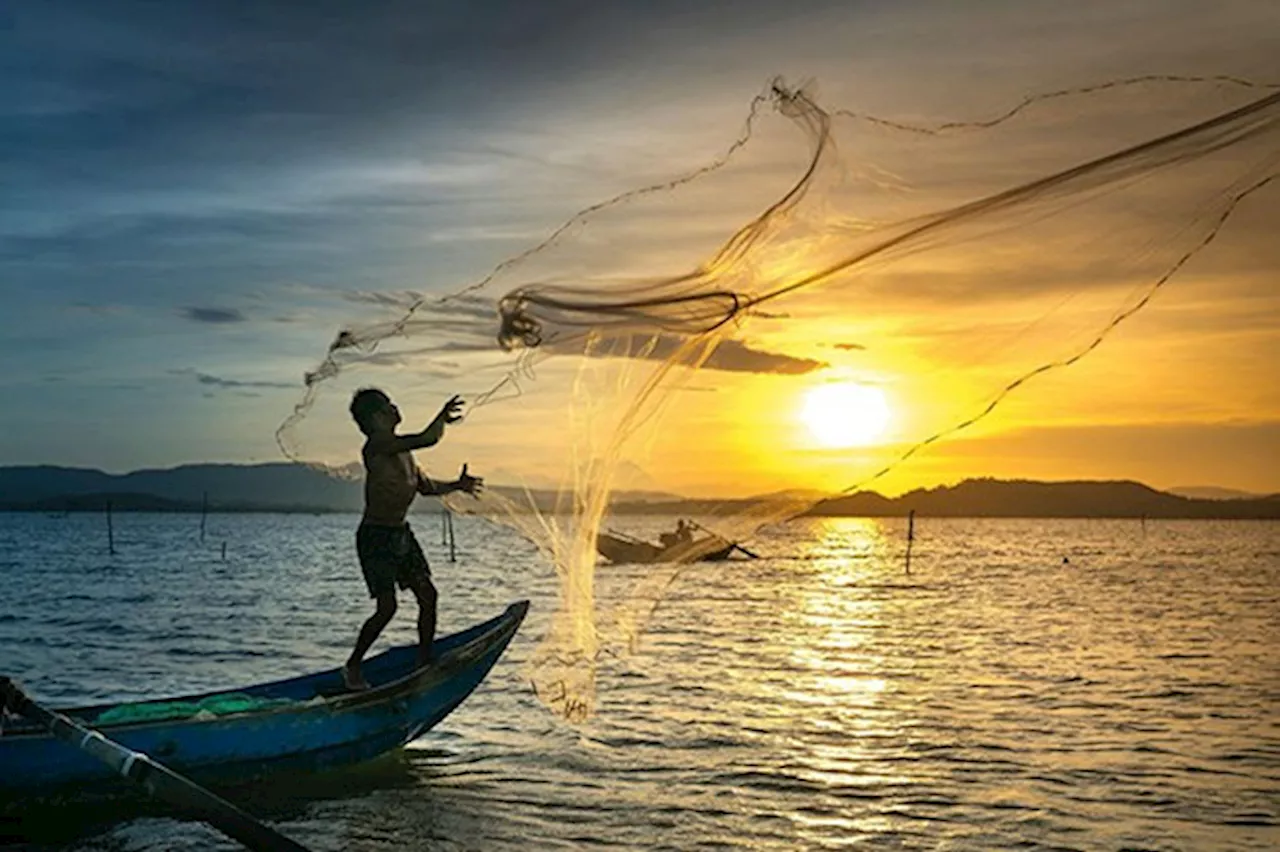 Typhoons Threaten Philippine Agriculture and Food Security