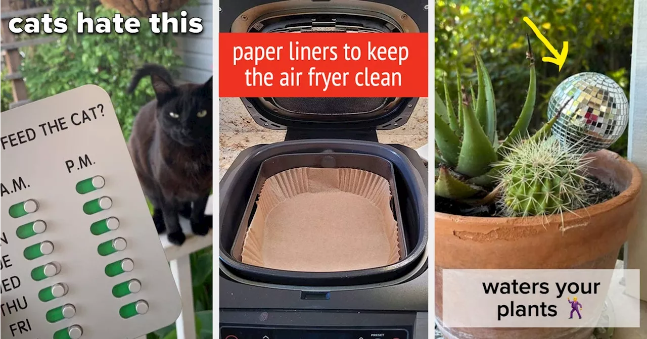 Cleaning Hacks That Are Easy, Entertaining, and Effective