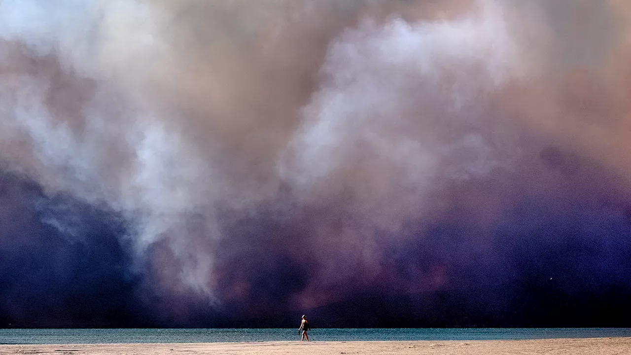 Wildfires in January? Here's why California wildfire season is worse