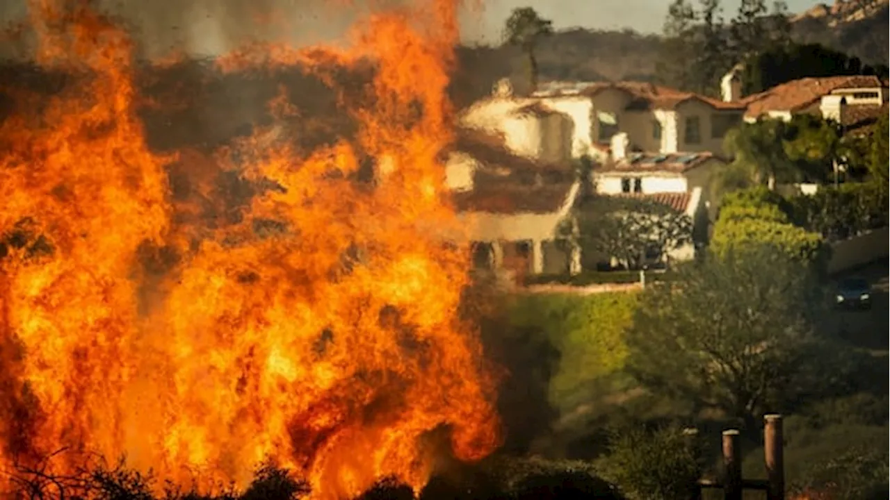 Wildfire Forces Thousands to Flee as Windstorm Rages in Los Angeles