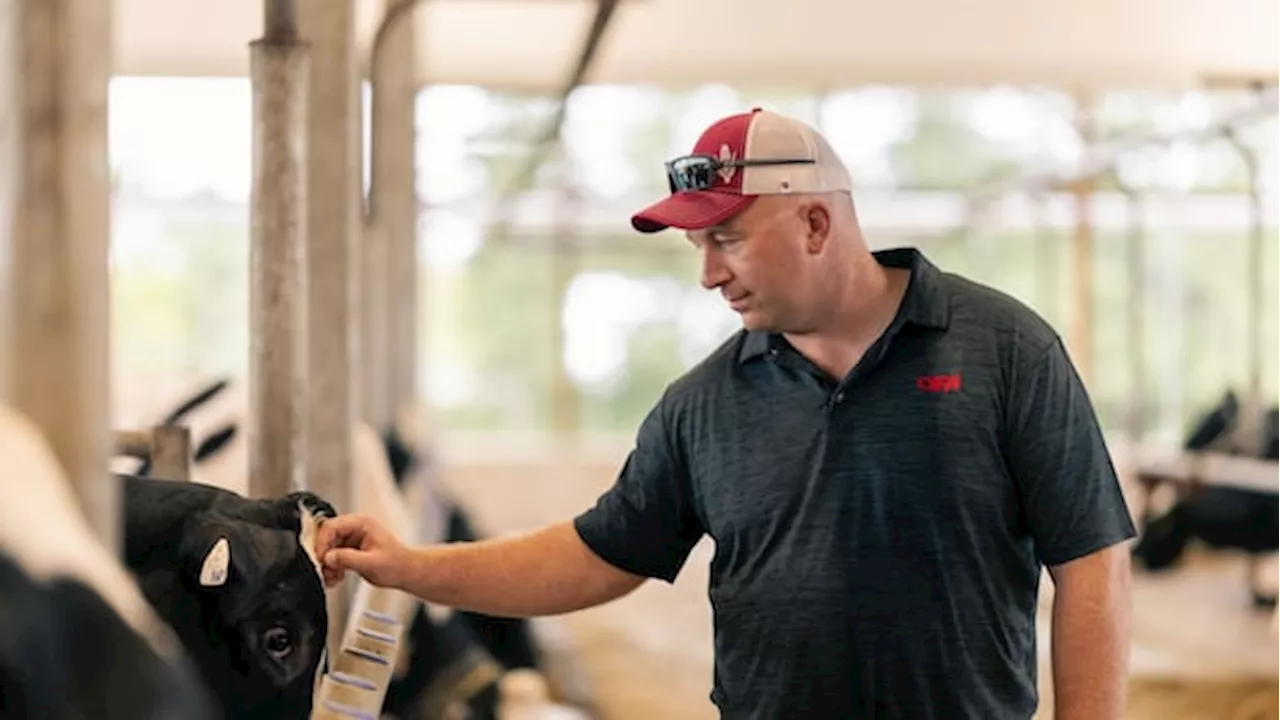 Canadian Farmers and Businesses Urge Quick Economic Action Amid Trump Tariff Threats