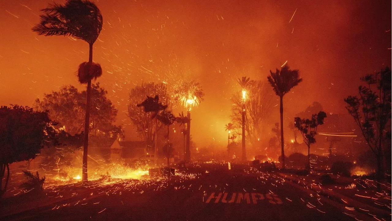 Devastating Wildfires Grip Los Angeles