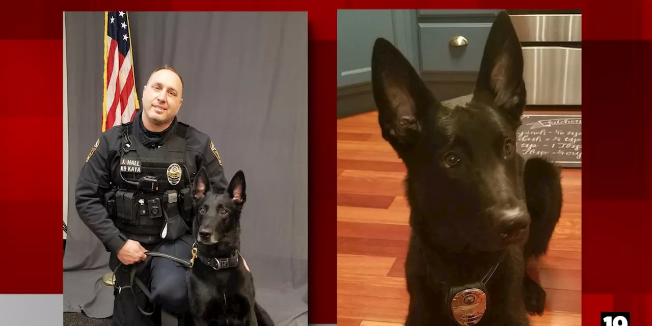 Streetsboro Police K-9 struck and killed on State Route 303