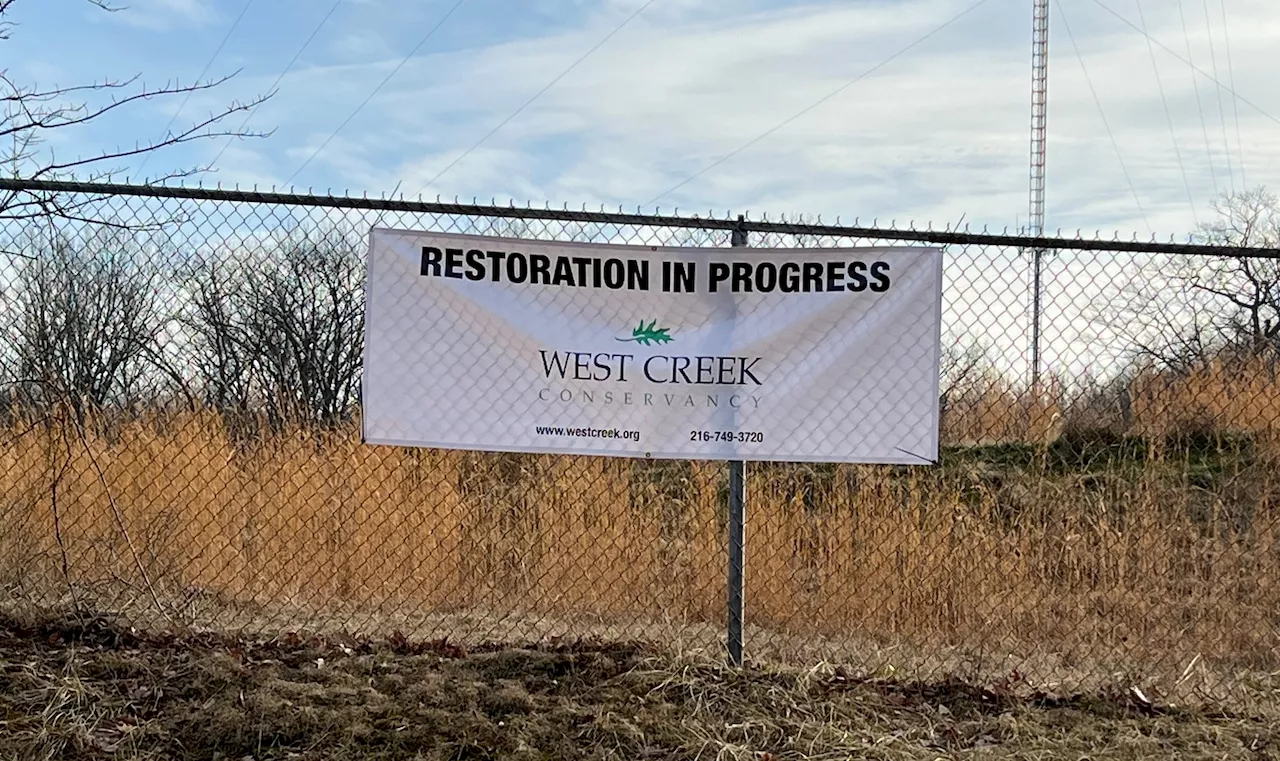 Greener pastures await as Big Creek Connects merges with West Creek Conservancy