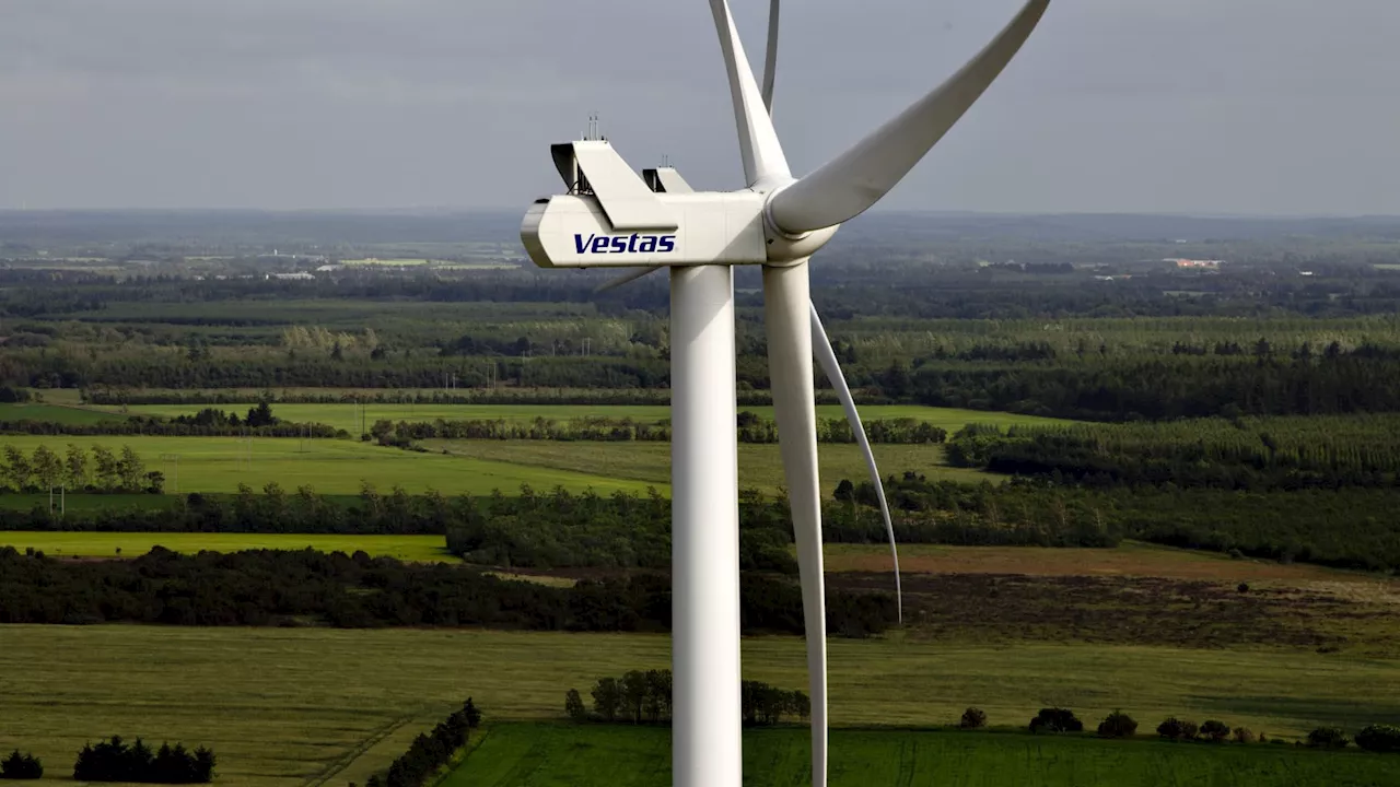 European wind stocks tumble after Trump says he will stop new turbine construction