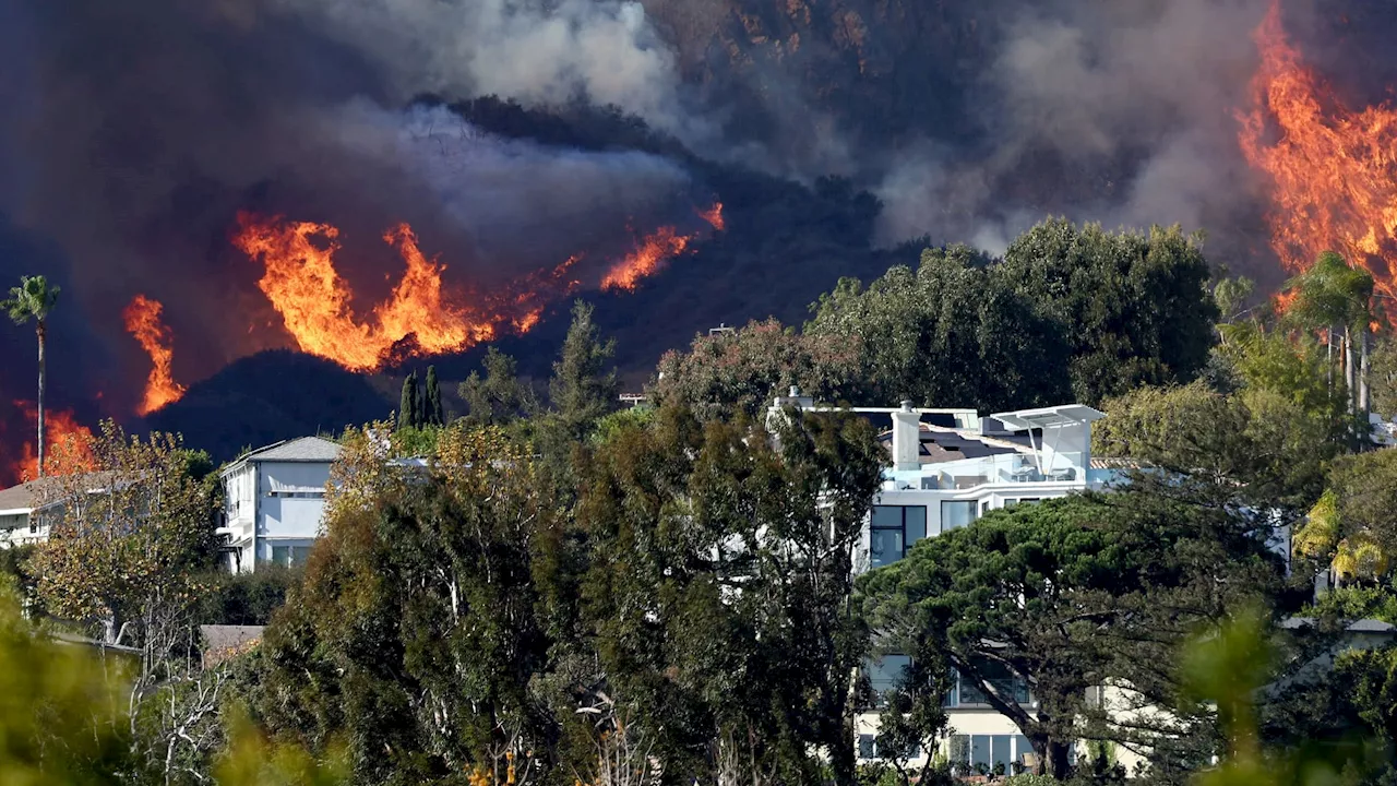 Wildfires Rage in Los Angeles, Forcing Evacuations and Sparking Injuries