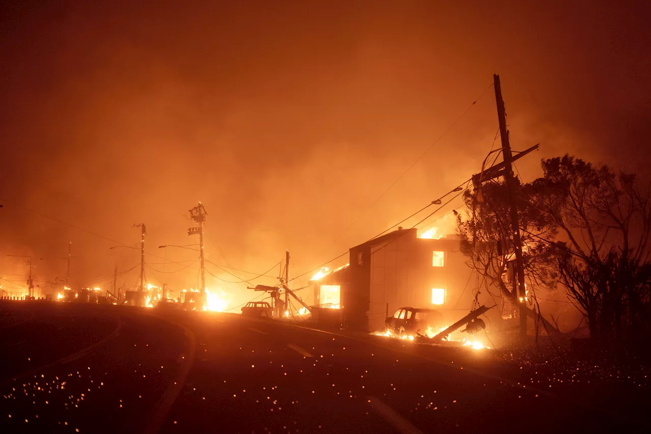 Chet Hanks lamenta incêndios em Los Angeles e pede orações para Palisades