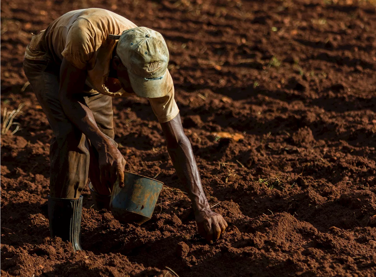 Exportações de Agronegócio do Brasil Atingem US$ 164,37 Bilhões em 2024