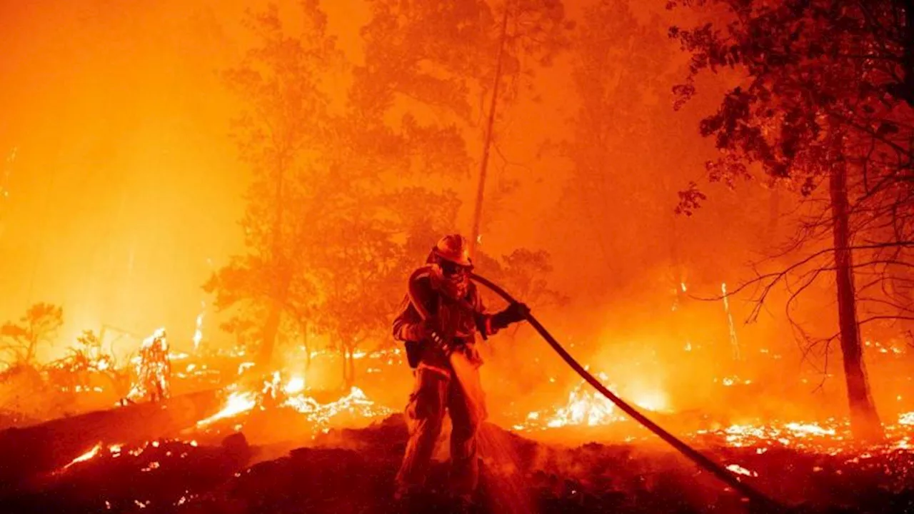 Los incendios forestales pueden liberar sustancias químicas cancerígenas del suelo, según un nuevo estudio