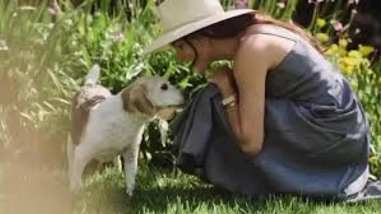 Meghan Markle piange la morte del suo cane Guy