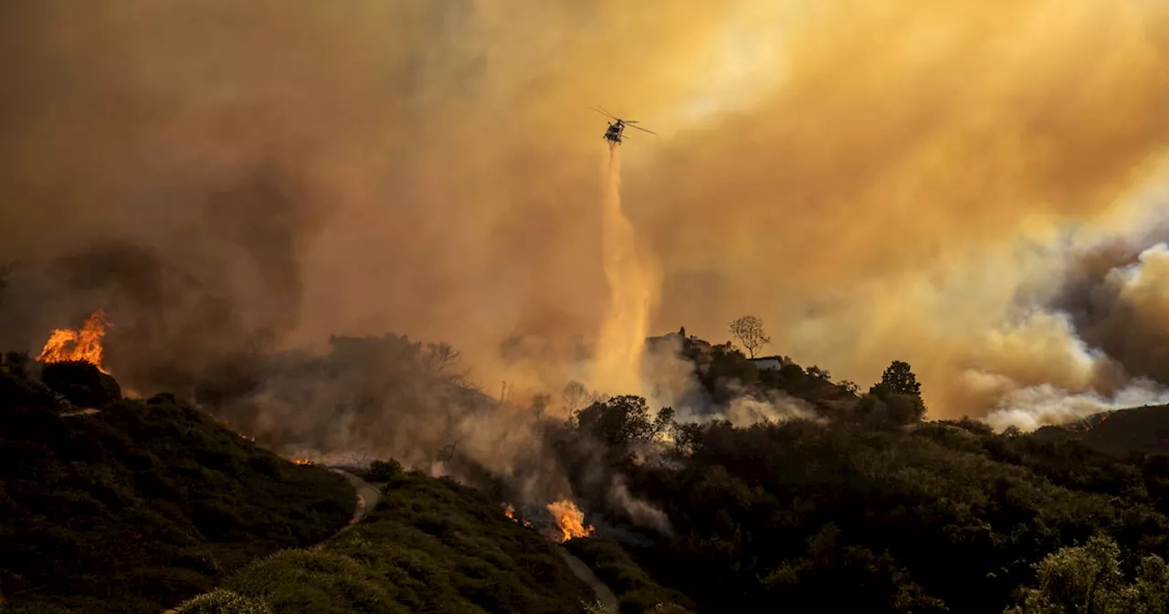 Wildfire Ravages Pacific Palisades, Forcing Mass Evacuations