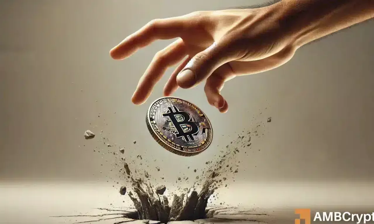 Bitcoin Crash: Speculation or Looming 2025 Crisis?