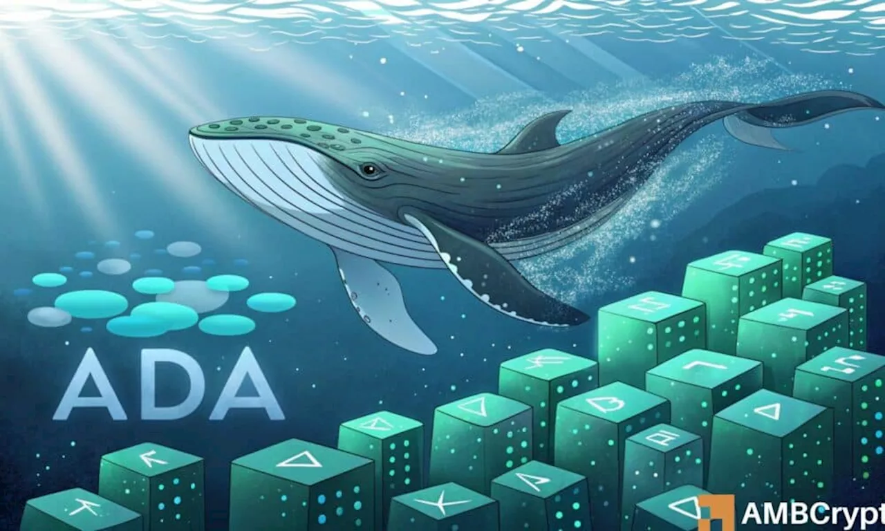 Cardano Whales Buy the Dip, Signal Bullish Sentiment Despite Price Pullback