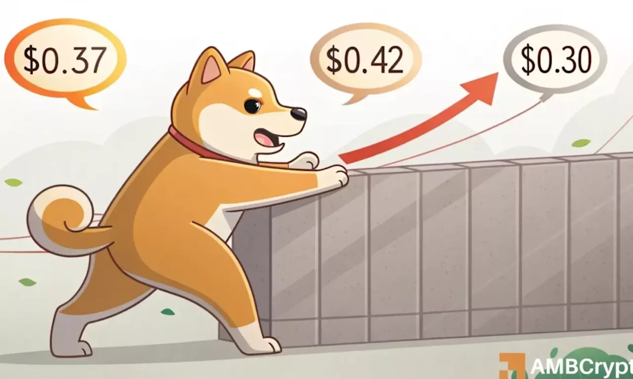 Dogecoin Price Slumps Despite Volume Surge