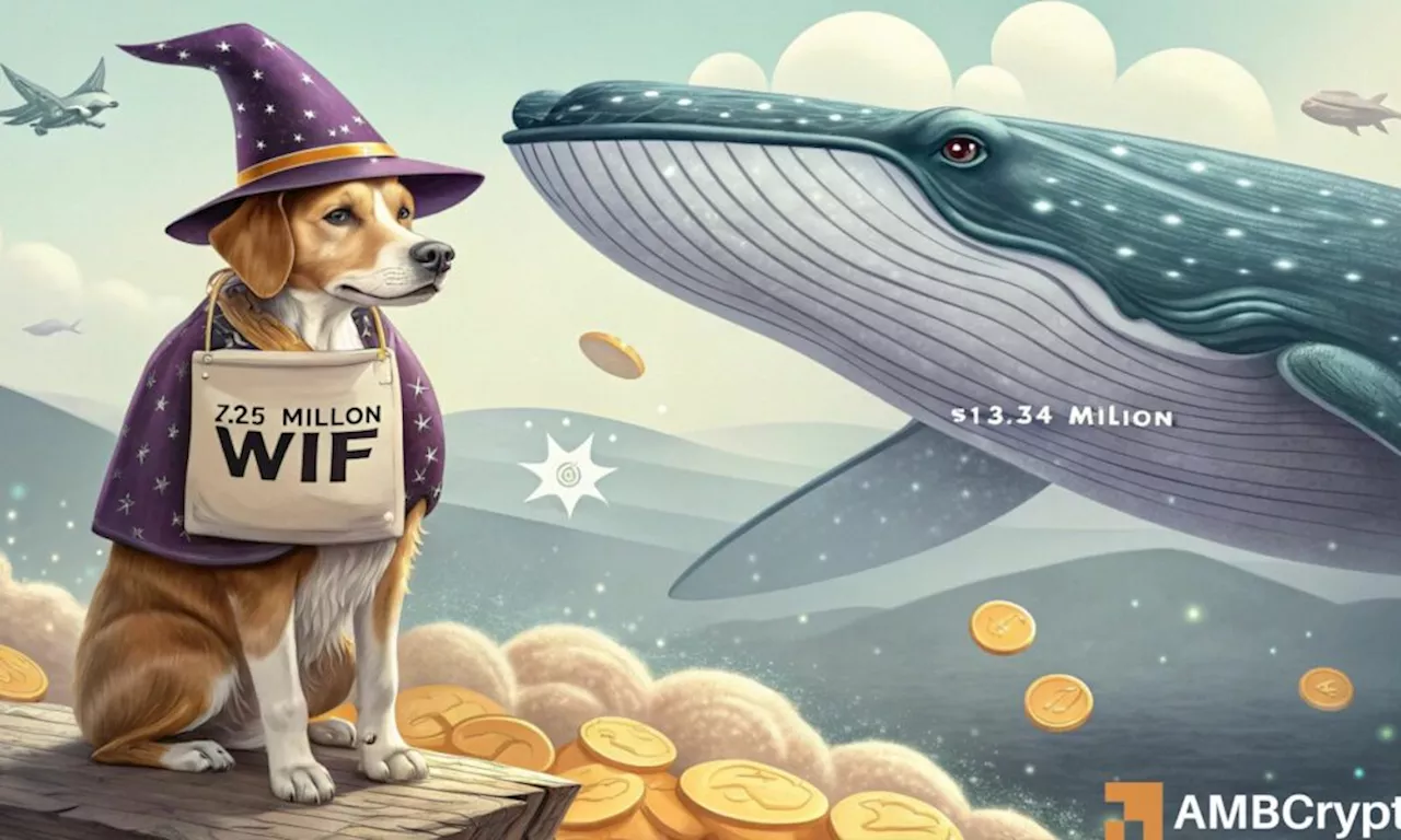 Dogwifhat Faces Bearish Pressure Despite Whale Accumulation