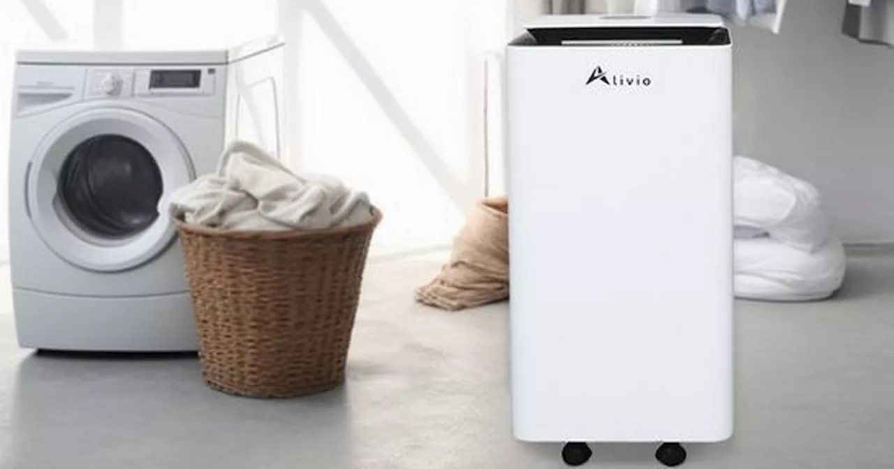 Debenhams' 'Whisper Quiet' Dehumidifier is a Bargain at 72% Off