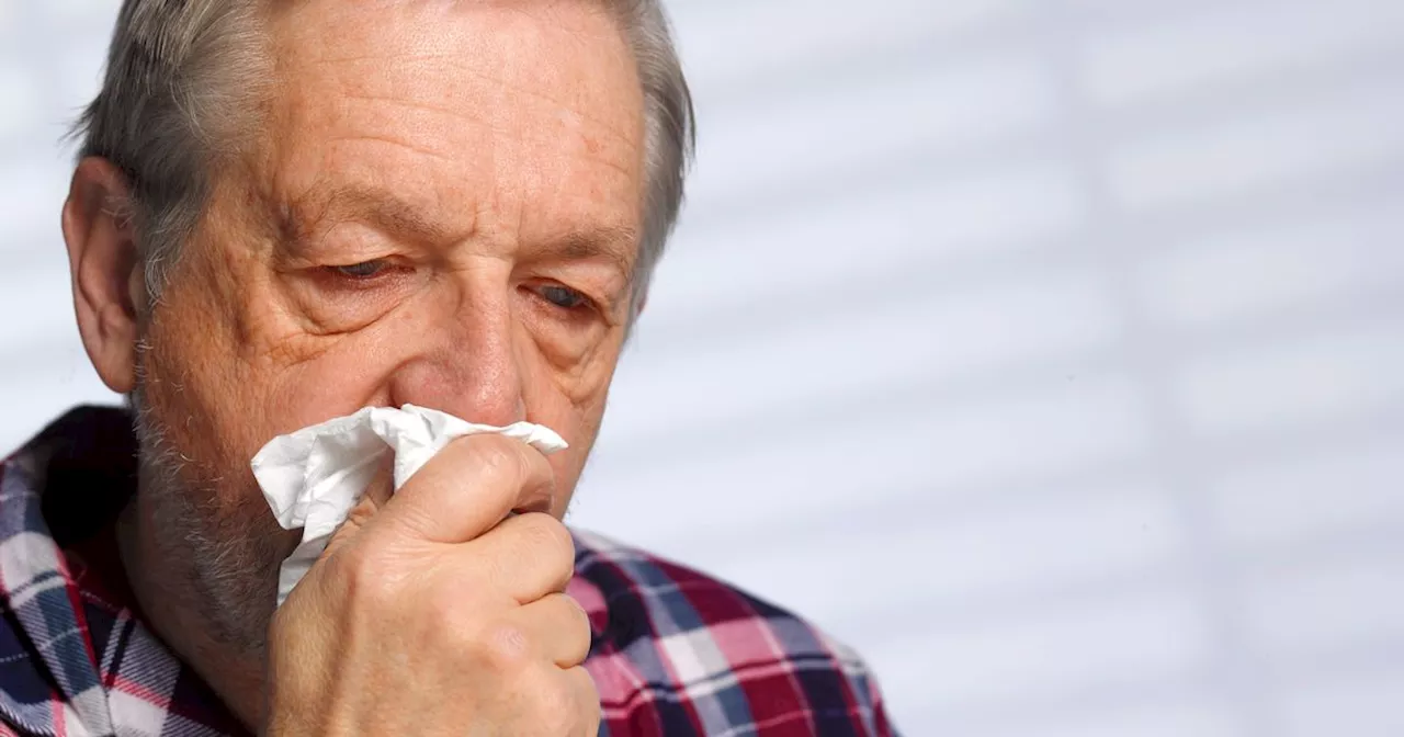 Flu Hospitalizations Quadruple This Winter: Doctor Offers Easy Ways to Differentiate from the Common Cold