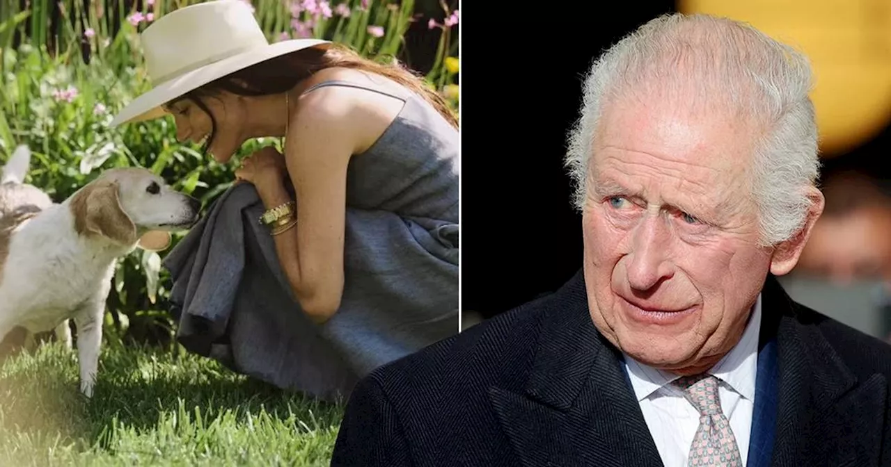 Meghan Markle Shares Heartbreaking Tribute to Deceased Pet Dog Guy