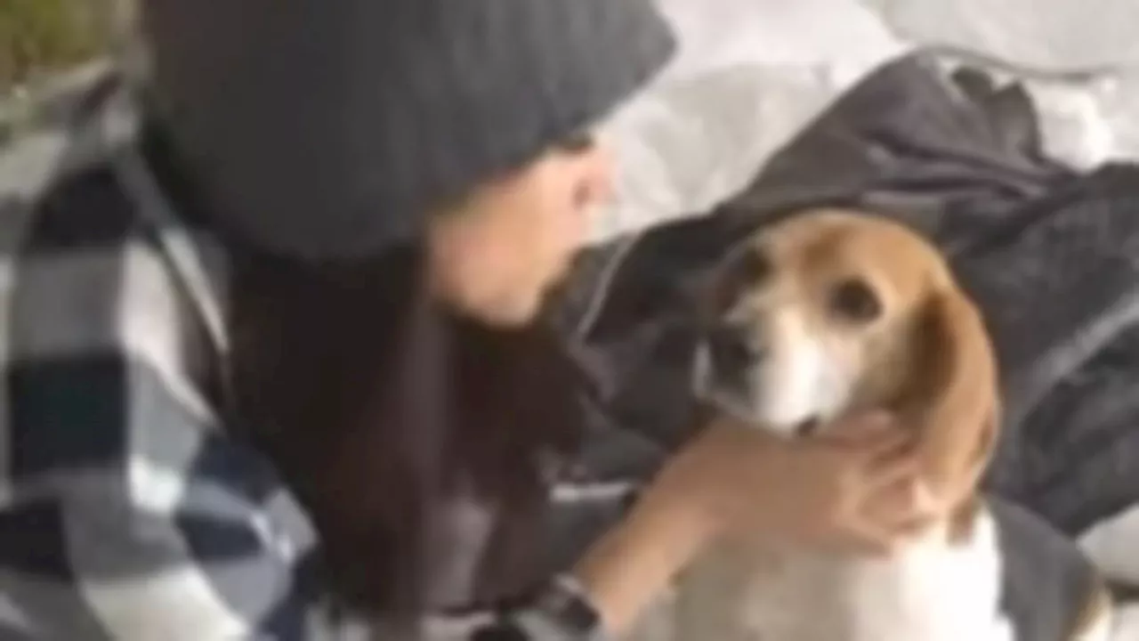 Meghan Markle Pays Emotional Tribute to Late Dog Guy