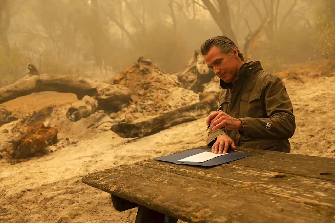 Trump Blames Newsom for California Wildfires, Citing Water Management