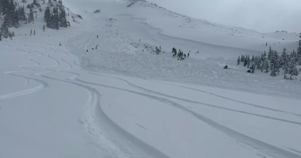 Skier Killed in Avalanche on Red Mountain Pass