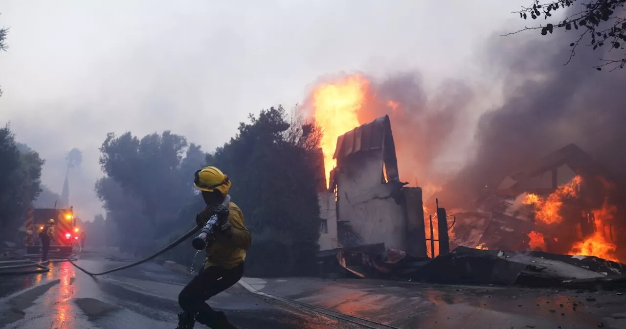 Wildfire Rages Through Los Angeles Hillside