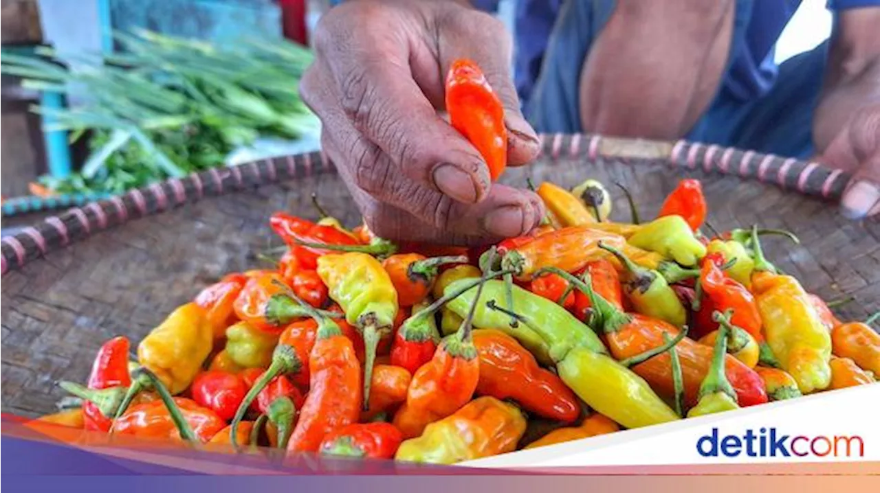 Harga Cabai Rawit Merah Meroket, Petani Alami Gagal Panen Akibat Cuaca Ekstrem