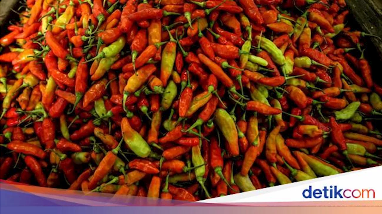 Harga Cabai Rawit Merah Tembus Rp 130.000 per Kg, Setara Harga Daging Sapi