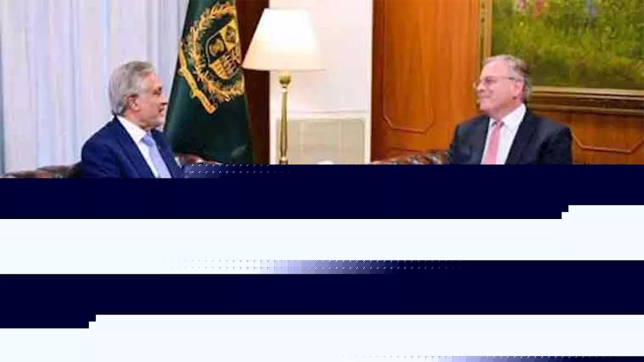 US Ambassador Donald Blome pays farewell call on Ishaq Dar