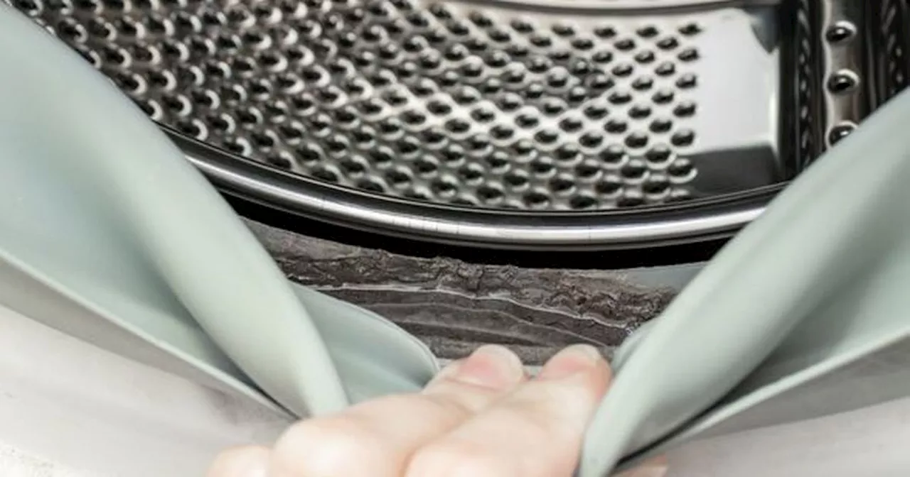 One item 'more effective than bleach' for cleaning washing machines