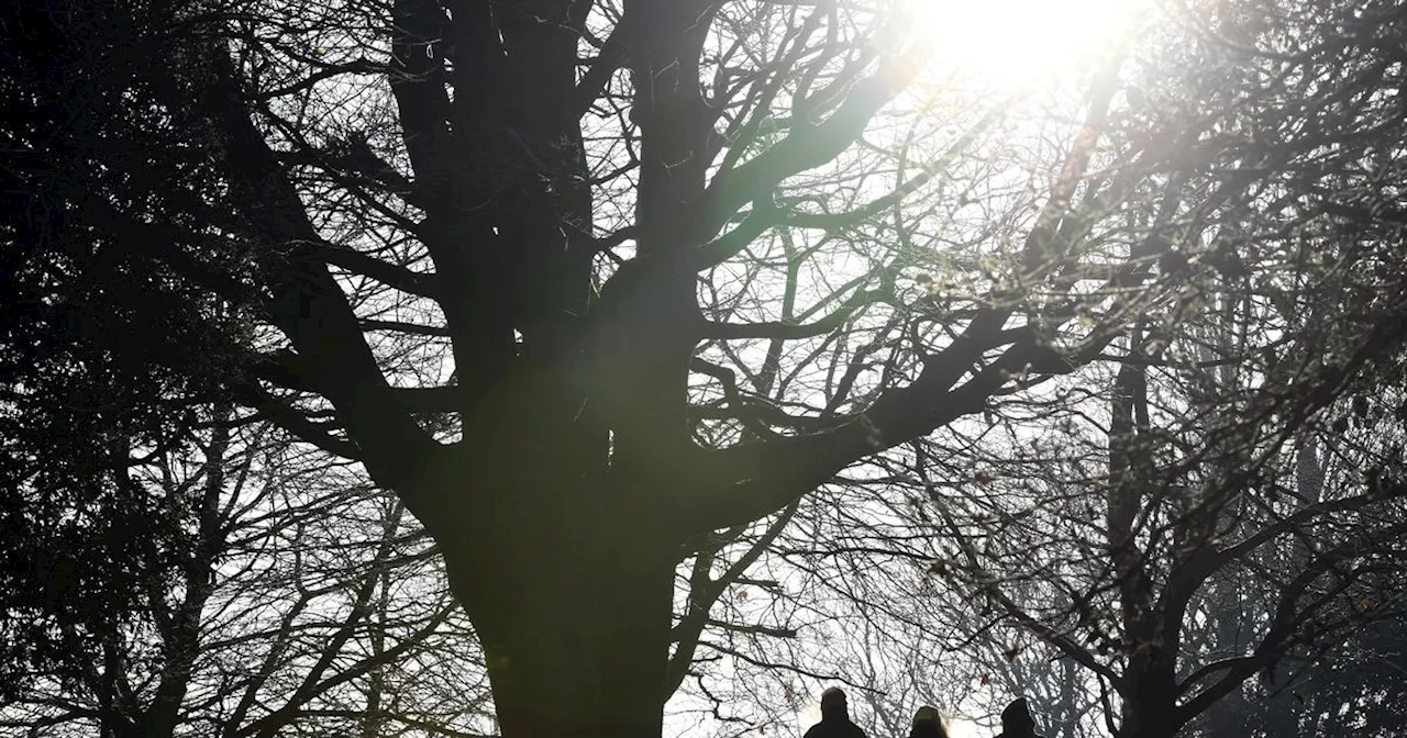 UK Braces for Icy Blast with Temperatures Plunging to -15C