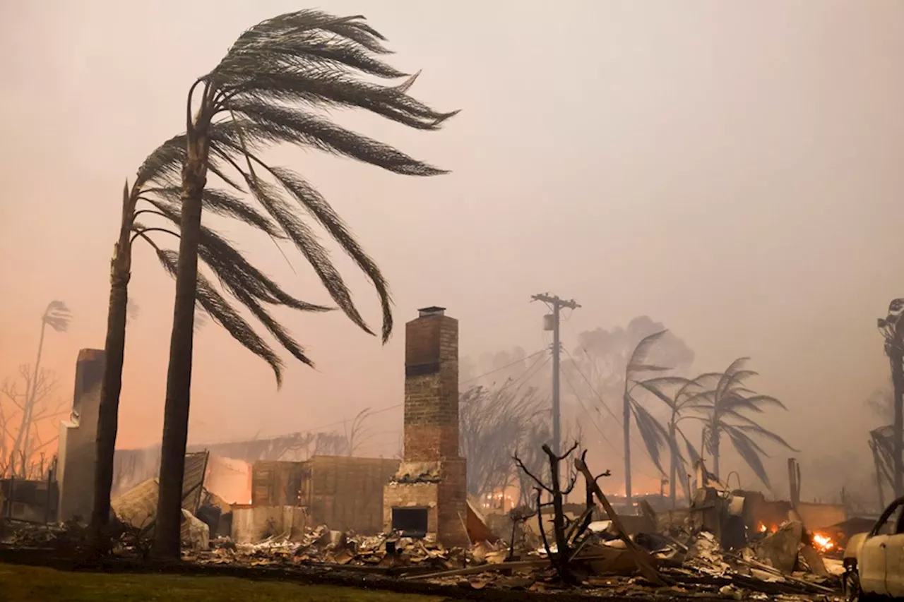 Incendios sin control en Los Ángeles: decenas de miles de evacuados y al menos dos muertos