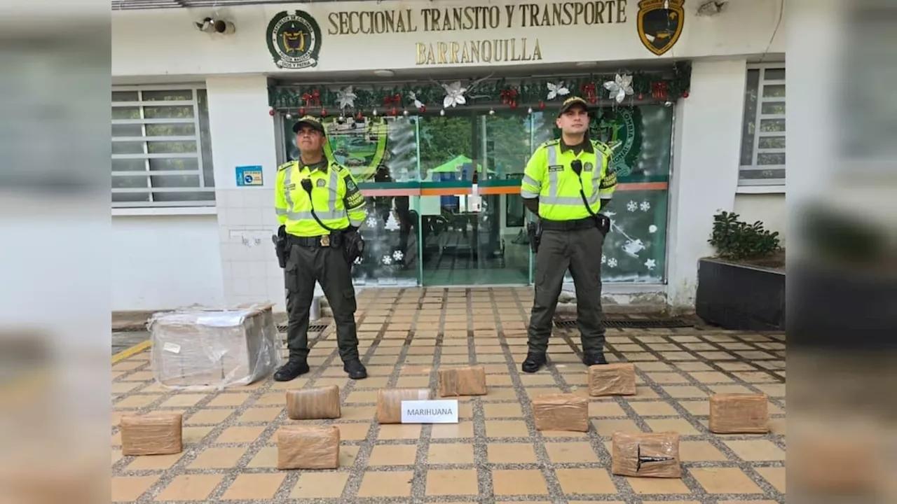 Incautan 10 kilos de marihuana en vía que conduce a Juan Mina