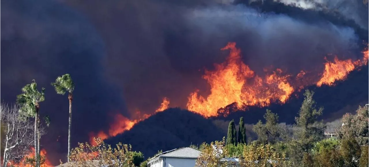 Incendio en Pacific Palisades: Estado de Emergencia declarado y amenaza de viento fuerte