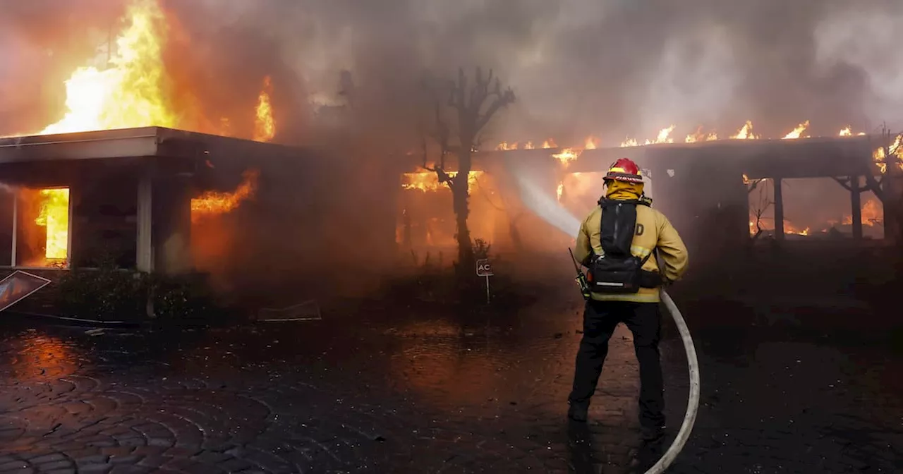 Incendio forestal en Pacific Palisades obliga a evacuación de 30.000 personas