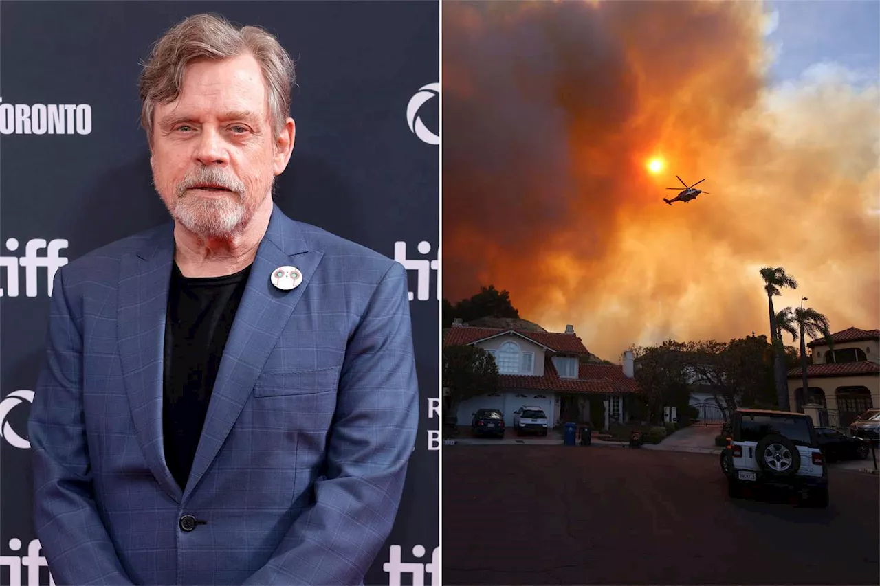 Luke Skywalker Evacuates Malibu Amid Devastating California Wildfires