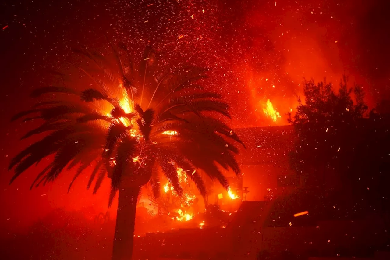 Waldbrände in Kalifornien: Tausende fliehen vor Flammen