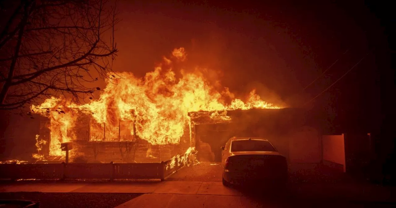 Incendio a Los Angeles: cancellati gli eventi pubblici e le prime cinematografiche