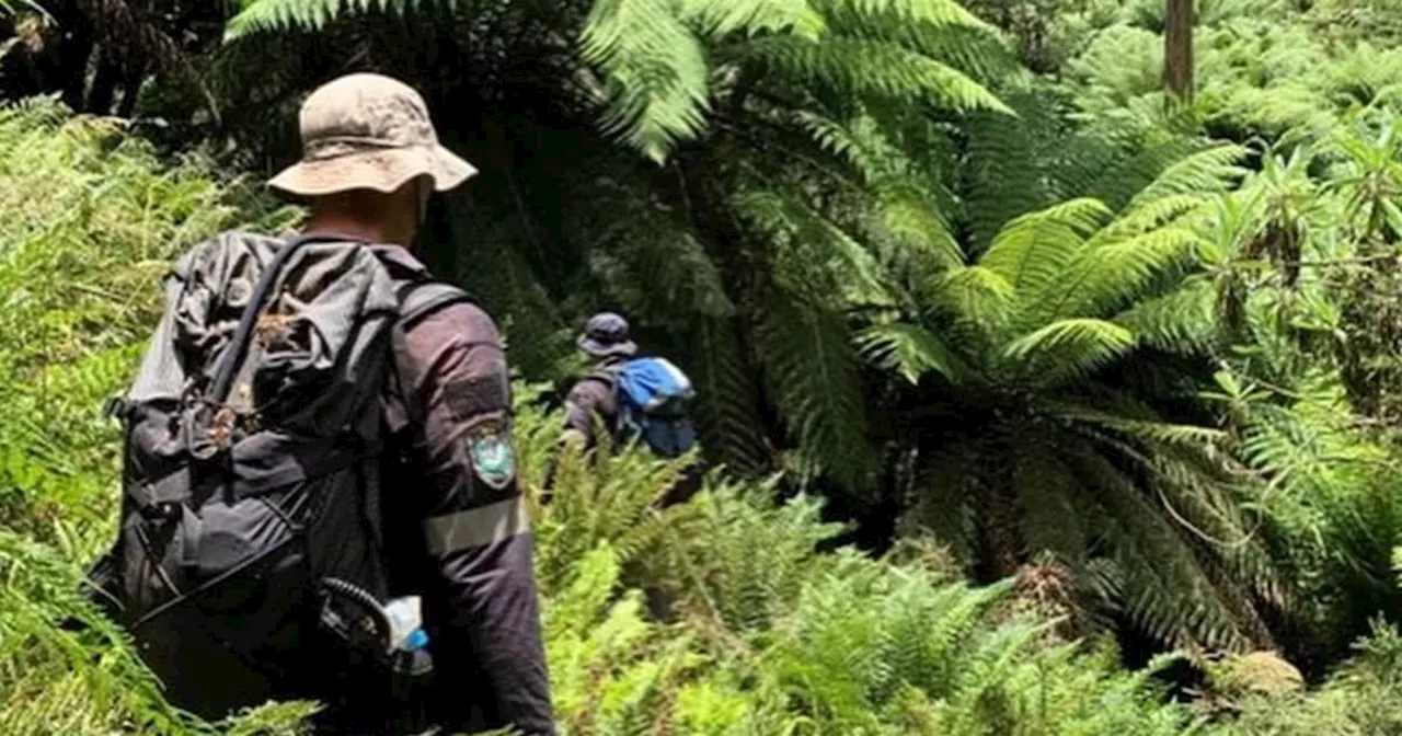 Vermisster Student in Australien nach 13 Tagen lebend gefunden