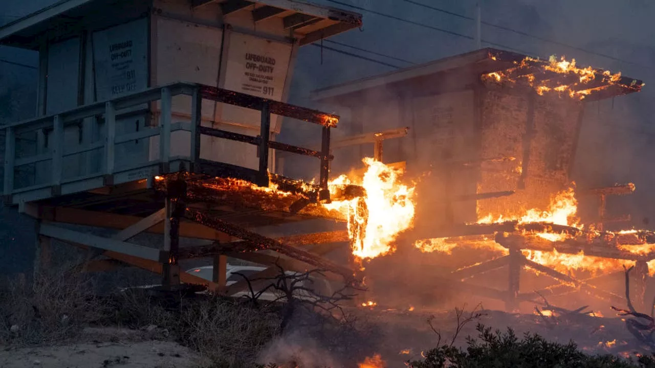 California Declares State of Emergency as Pacific Palisades Fire Ravages Los Angeles