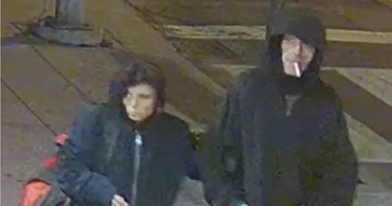 Toronto Police Seek Pair Suspects in Series of New Year's Eve Break-Ins