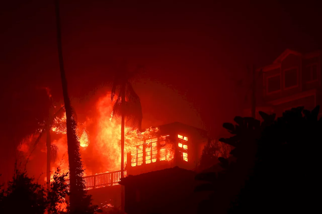 Wildfires Rage in Los Angeles, Destroying Homes and Forcing Evacuations