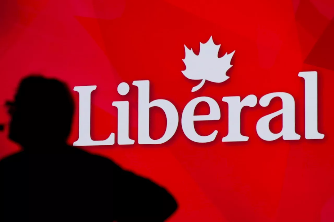 Liberal Party Membership Rules Raise Concerns About Foreign Interference in Leadership Race