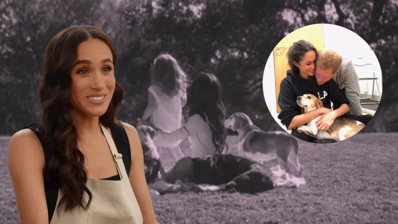 Meghan Markle Comparte Despedida Desgarradora por la Muerte de su Perro Guy