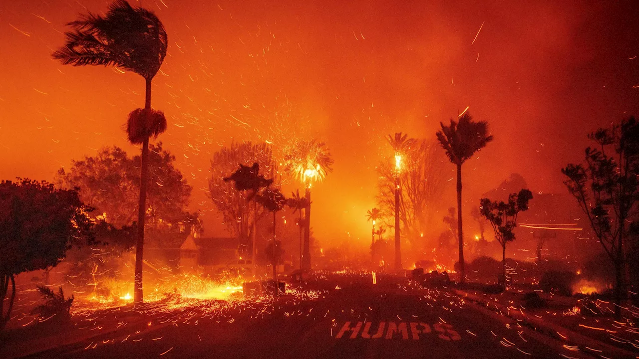 Inferno in Los Angeles: Feuer wütet in Pacific Palisades