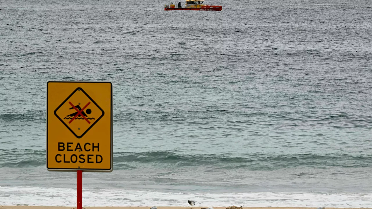 – weltberühmter Strand in Australien gesperrt